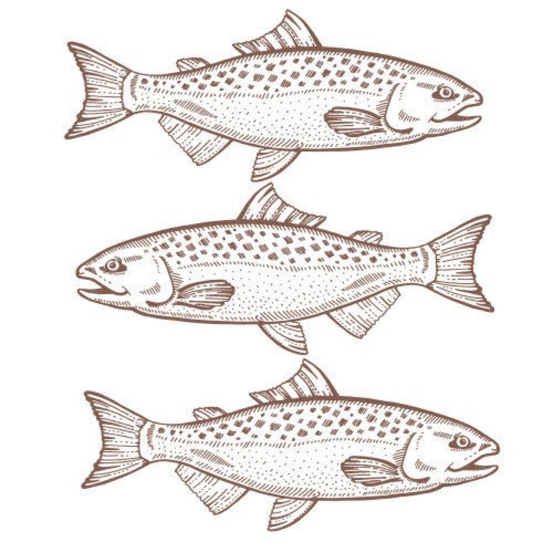 EuroScrubby Cleaning Cloth - Fish