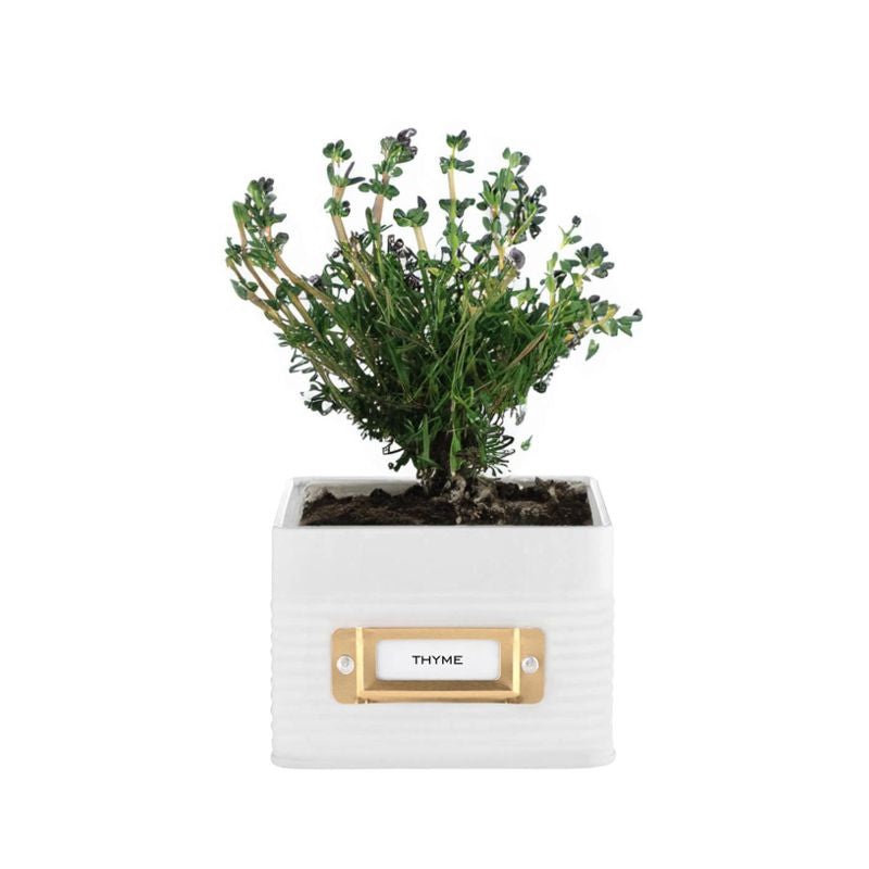 TYPHOON OTTO Square Herb Planter
