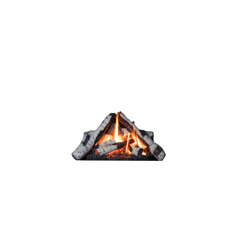 Valor Birch Log Kit - 1000BLKV2