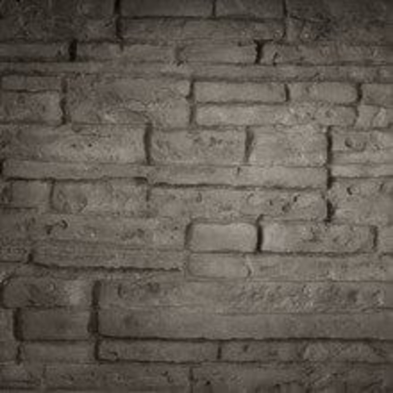Napoleon Ledgestone Decorative Brick Panel (BLP56) - DBPBL56LS