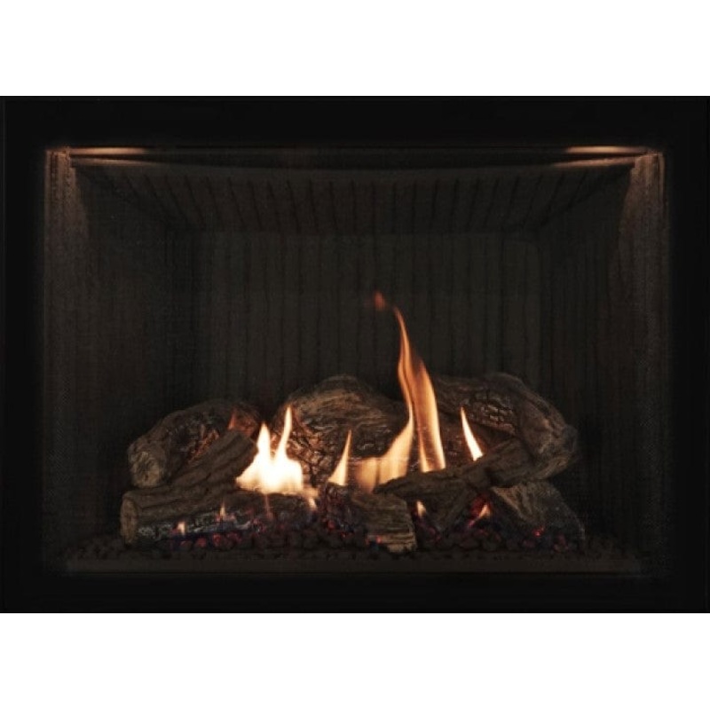 Ambiance Fireplace Inspiration 29 Gas Insert (Special Offer - Save $250!)