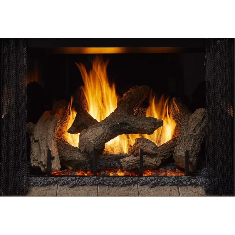 Heat & Glo Phoenix 42" TrueView Gas Fireplace