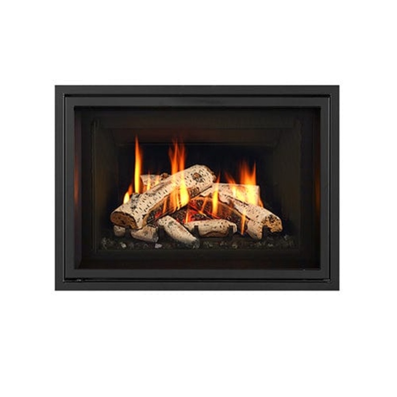 Regency Birch Log Set (GI27LE) - 550-931