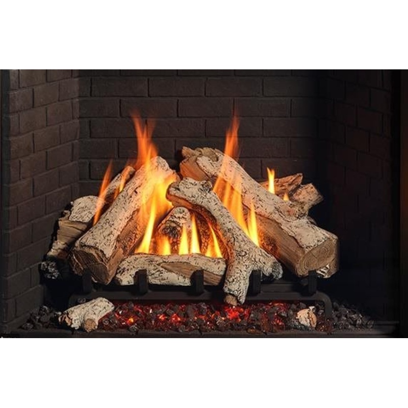 Regency Birch Log Set (G800P) - 762-932