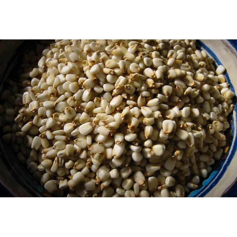 Rancho Gordo Posole/Prepared Hominy, 1lb