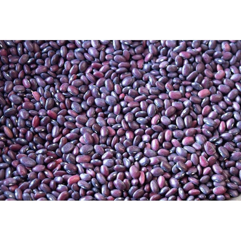 Rancho Gordo Domingo Rojo Bean