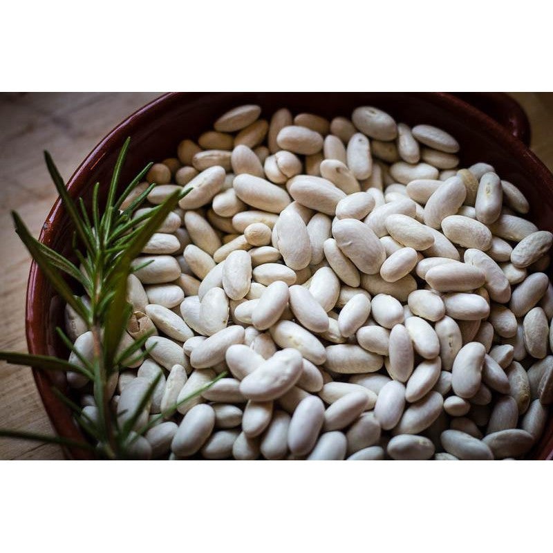 Rancho Gordo "Marcella" Cannellini Bean