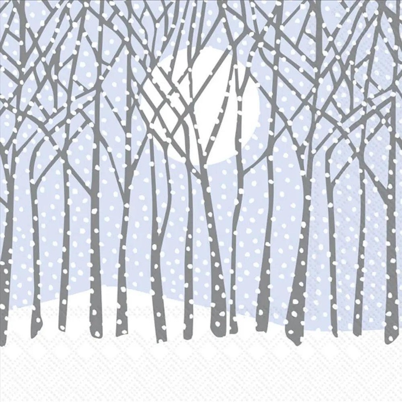 Boston International Cocktail Napkins: Winter Solstice