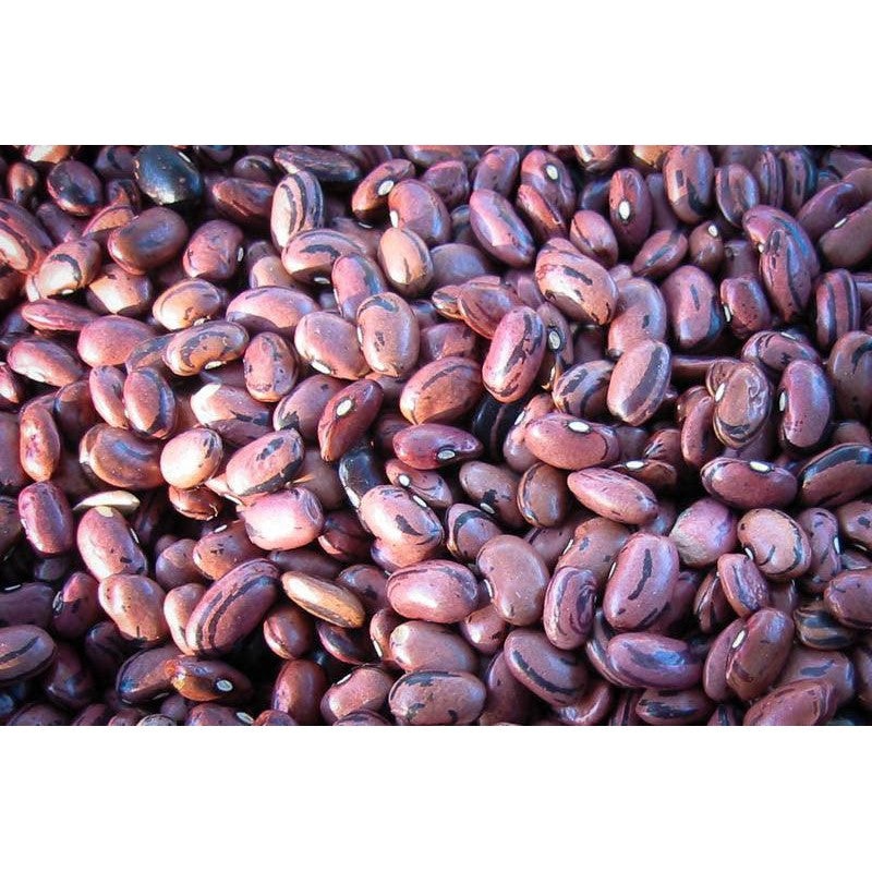 Rancho Gordo Rio Zape Bean