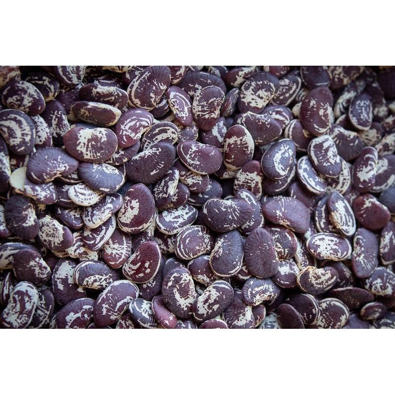 Rancho Gordo Christmas Lima Bean