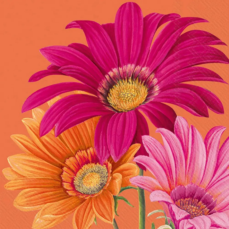 Boston International Cocktail Napkins: Joyful Gerbera Orange