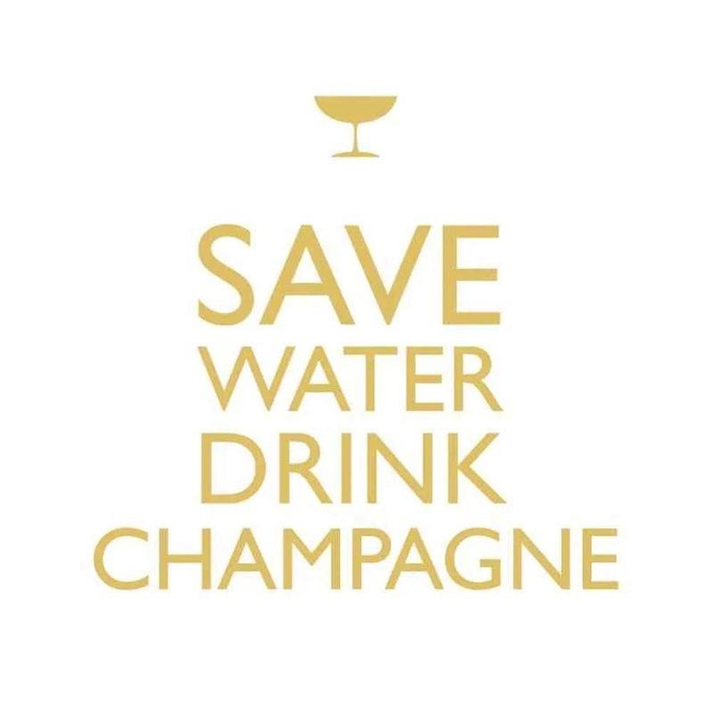 Paperproduct Designs Cocktail Napkins: Drink Champagne