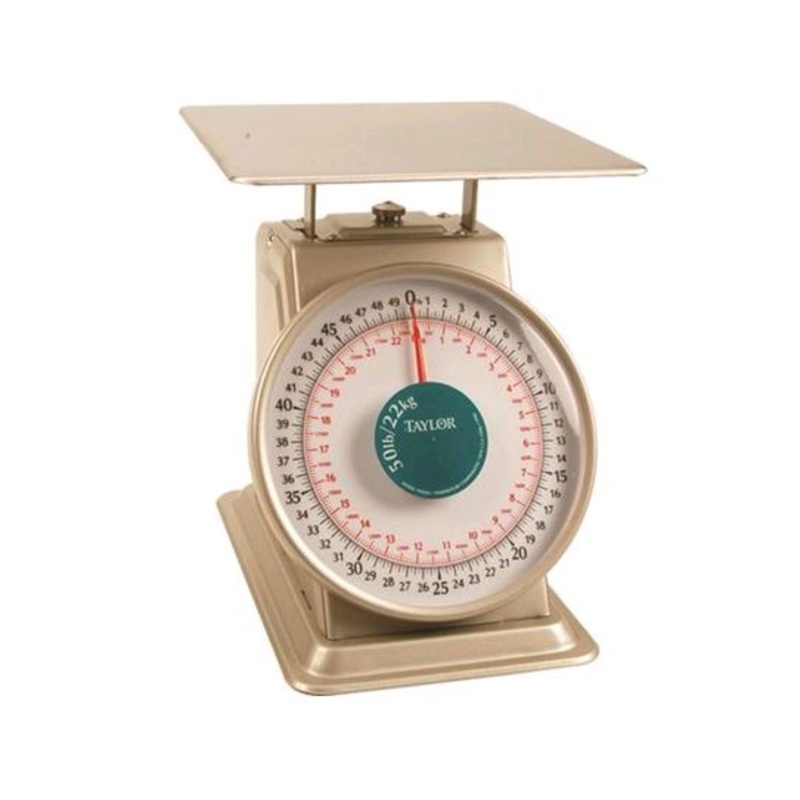 Taylor Thermometer 22KG Stainless Steel Scale