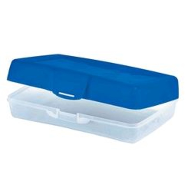 STATIONARY CARRYING CASE
