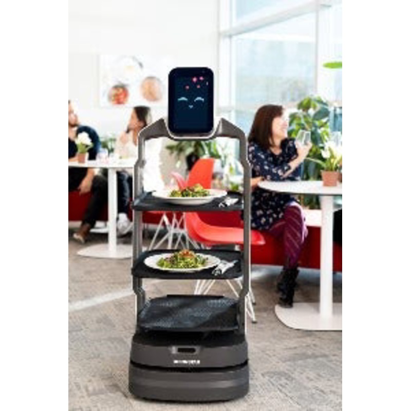 DEMO* Browne Technology iAssist AI Robot Server