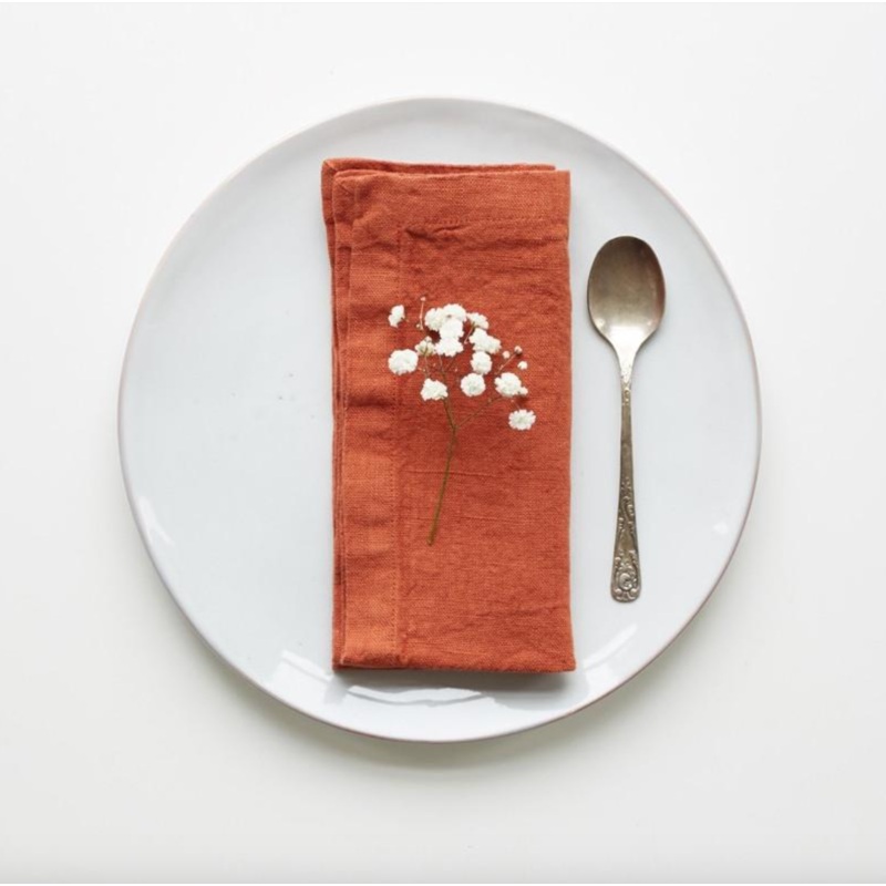 Linen Tales Baked Clay Linen Napkins Set of 2