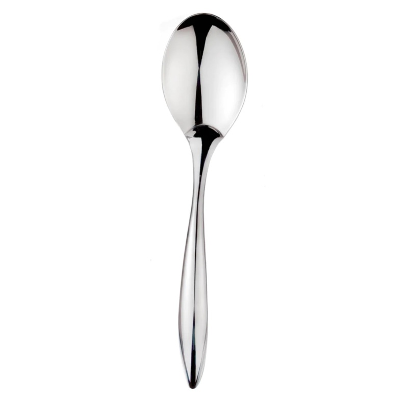 Stainless Steel Serving Spoon