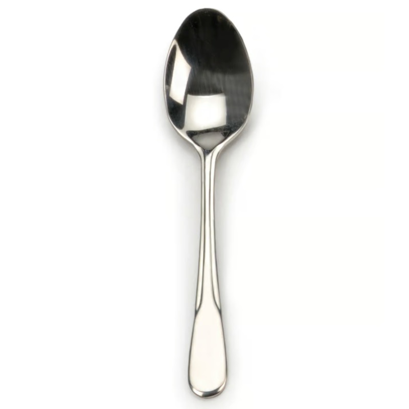 Endurance Serving Spoon, Stainless Steel