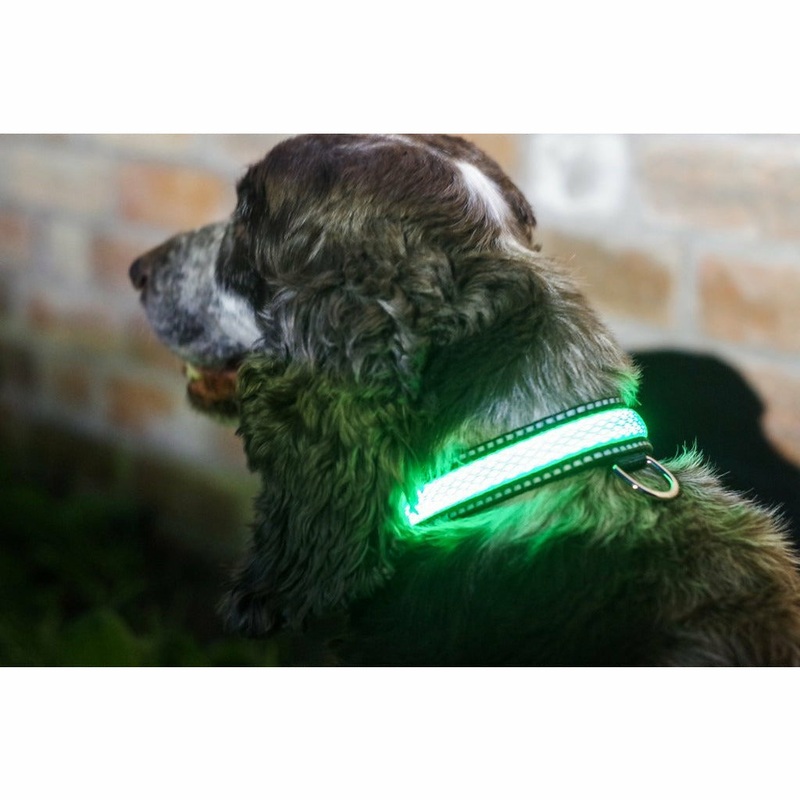 IlluminatedPetLightUpCollar