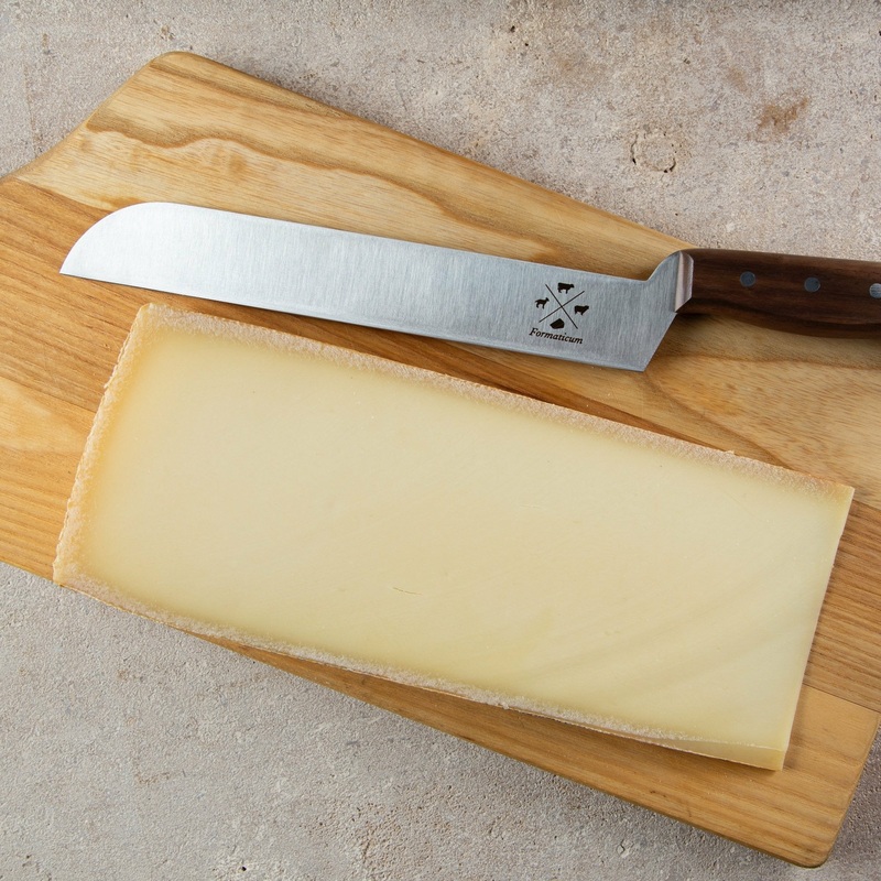 ProfessionalCheeseKnife