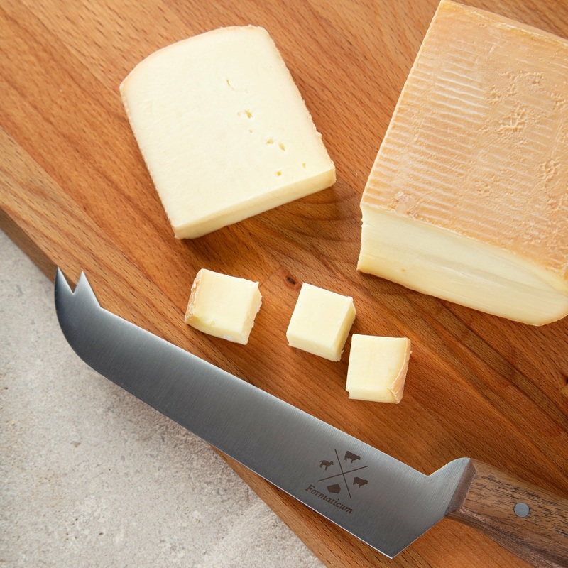 ProfessionalCheeseTastingKnife