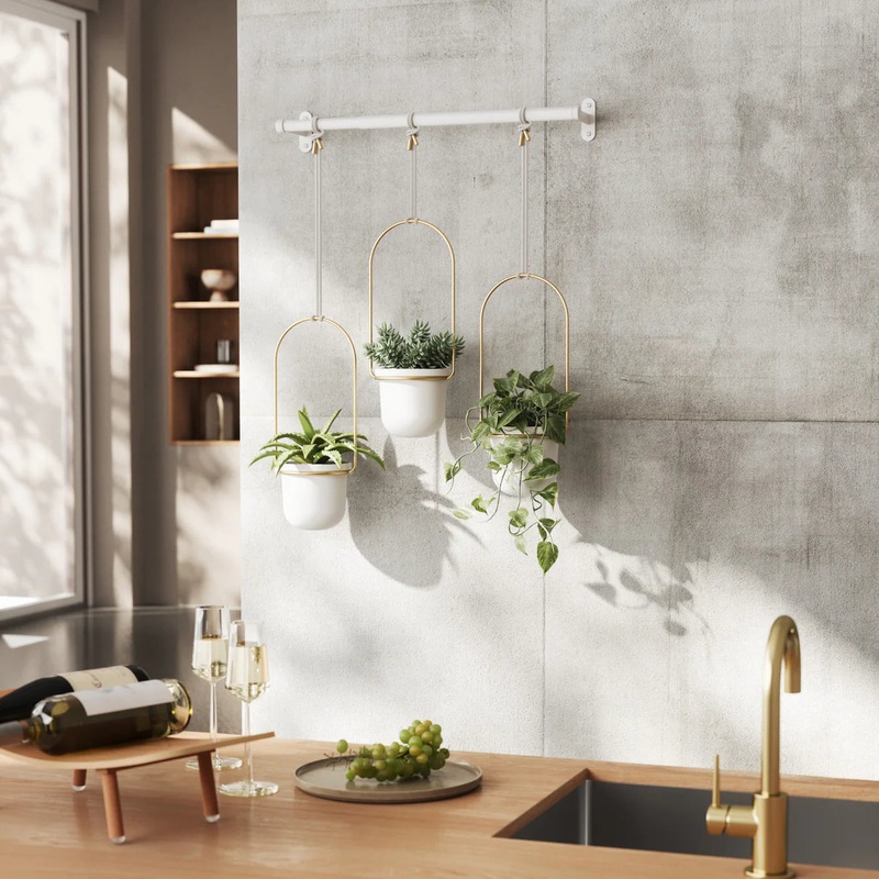 TrifloraHangingPlanters