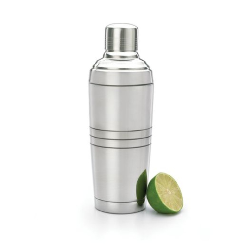 DoubleWallInsulatedShakerSet,Stainless19OZ