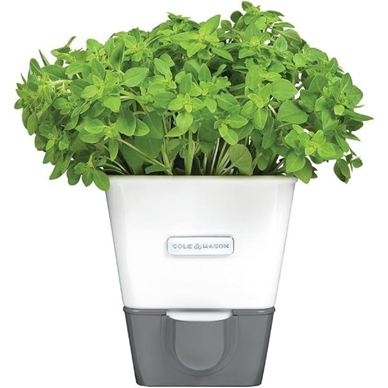 Cole&MasonSelf-WateringPottedHerbSaver