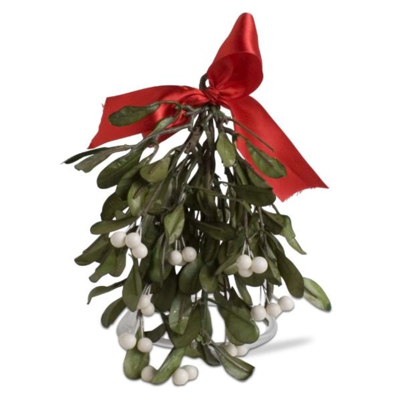 DarkGreenHangingMistletoe