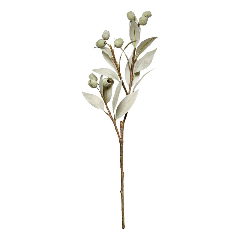 SmallEucalyptusTreeSpray