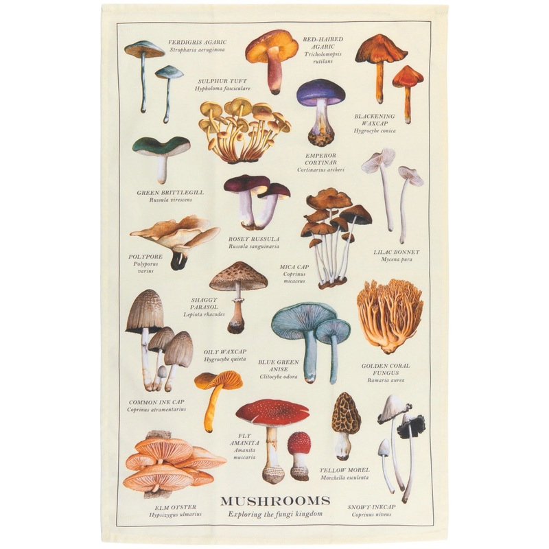 MushroomsFinePrintDishtowel